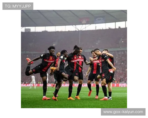 勒沃库森公布伤病情况，泰拉、塔普国际比赛日后归队